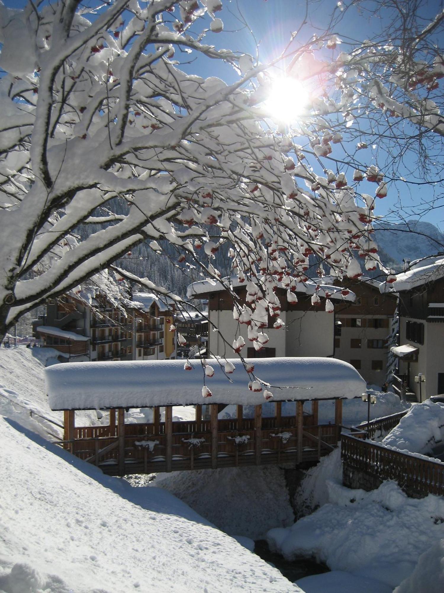 Hotel Garni Dello Sportivo Madonna di Campiglio Exterior foto