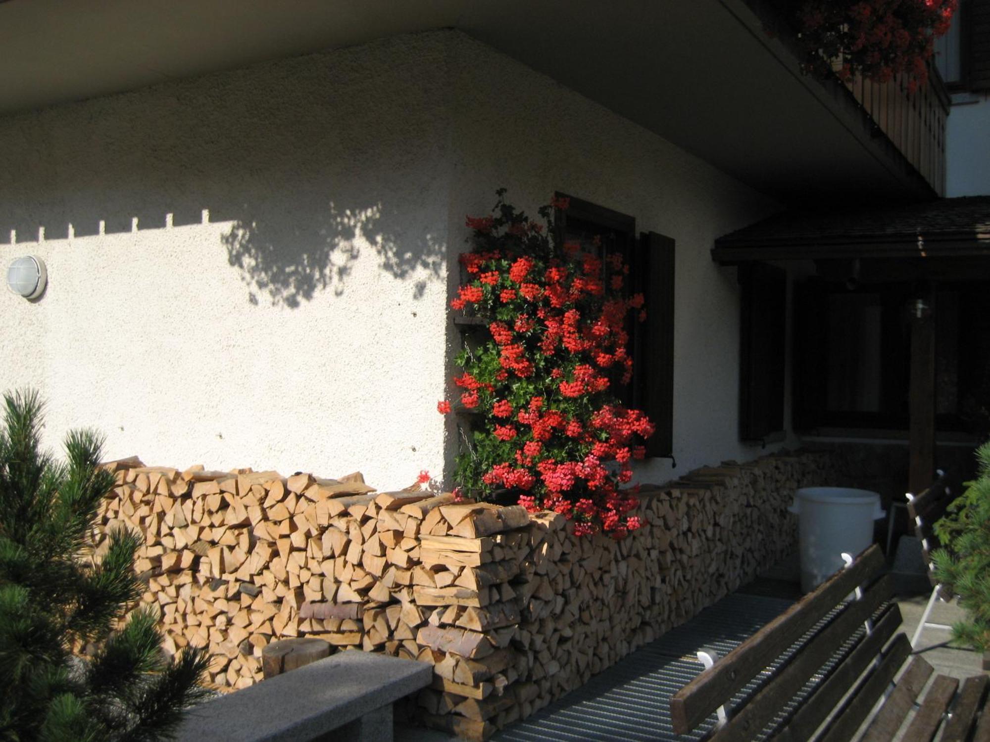 Hotel Garni Dello Sportivo Madonna di Campiglio Exterior foto